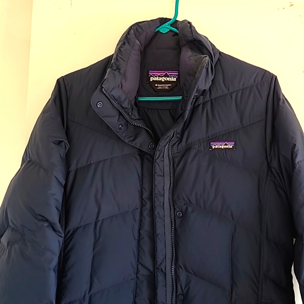Patagonia Women's Down With It Parka